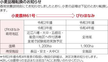 小麦品種転換のお知らせ