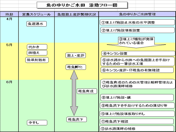 魚のゆりかご水田　活動フロー図