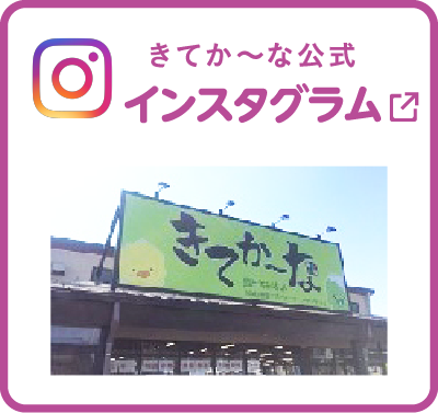 きてか～な公式『インスタグラム』