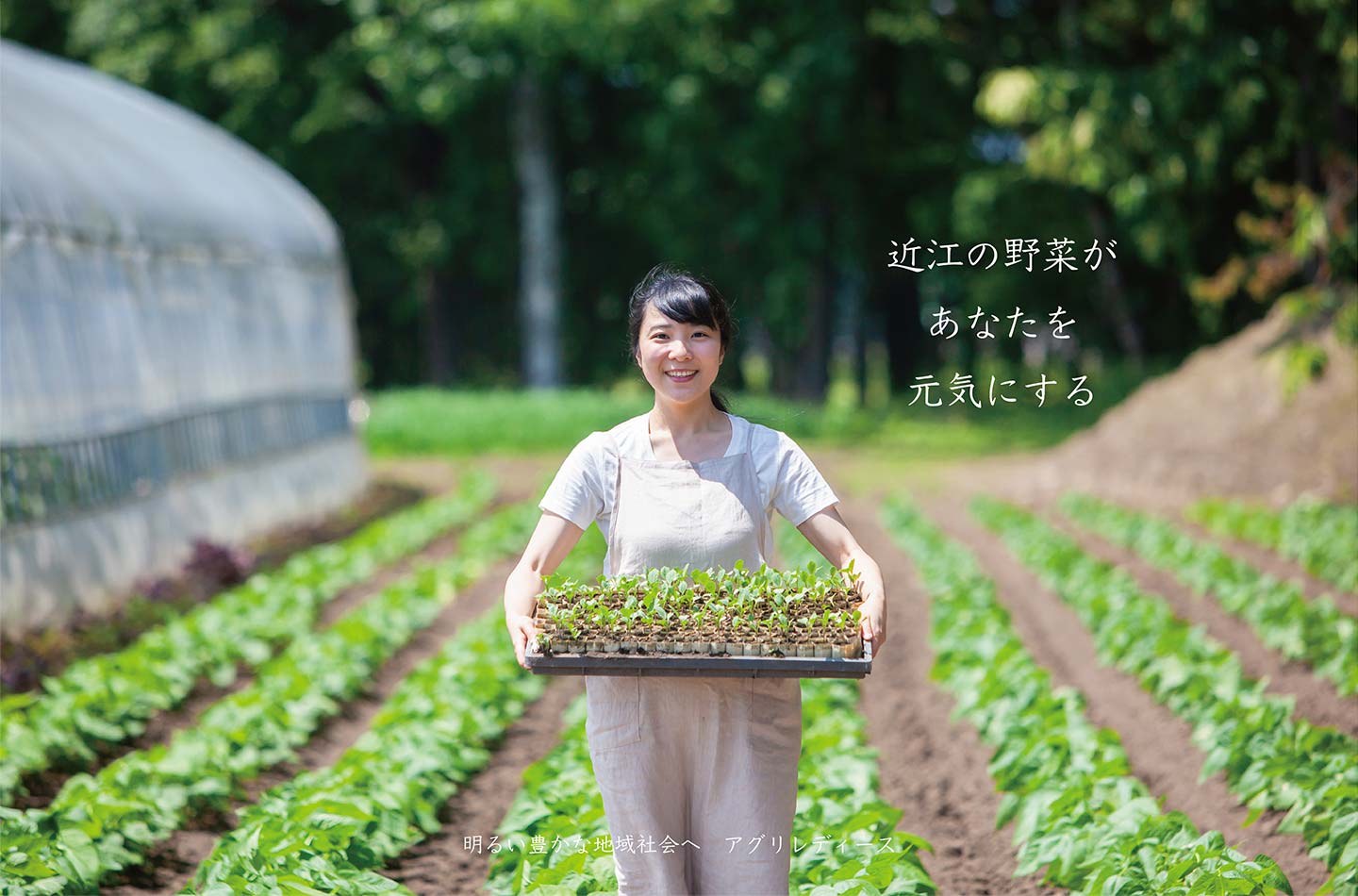 近江の野菜があなたを元気にする 明るい豊かな地域社会へ アグリレディース